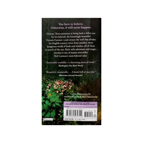 Stardust by Neil Gaiman - Image 4